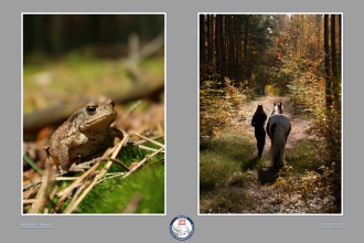Kolory młodości - wystawa gościnna w MBP
